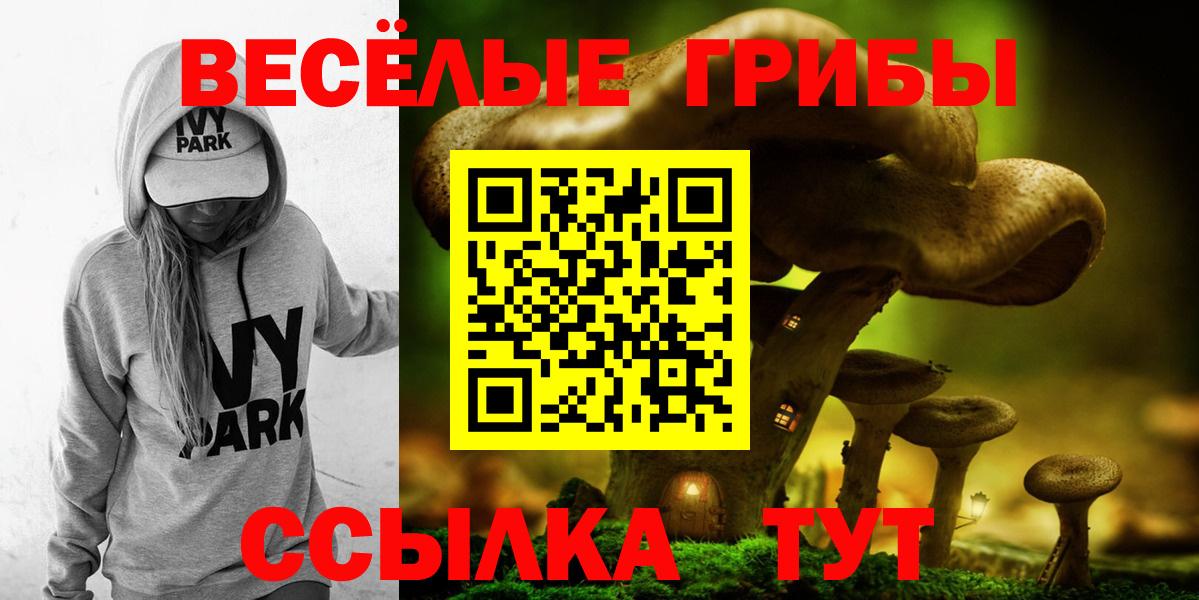 Галлюциногенные грибы Psilocybe Черкесск