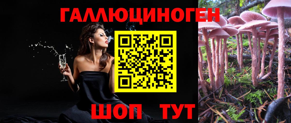 Галлюциногенные грибы мухоморы  Вход с VPN  даркнет сайт  Псилоцибиновые грибы Psilocybe  Черкесск 